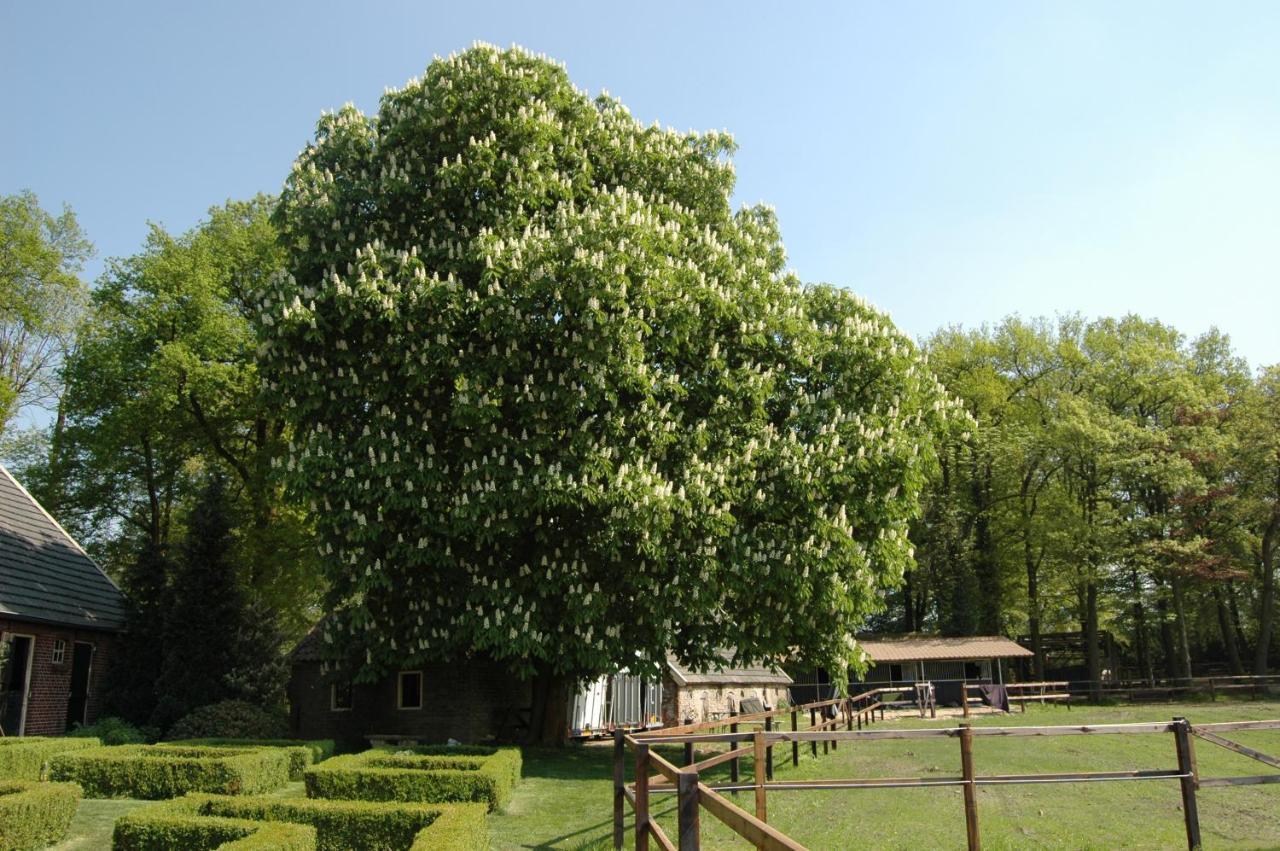 Erve Het Roolvink Boerderij Appartementen 40-50 M2 Enschede Zewnętrze zdjęcie