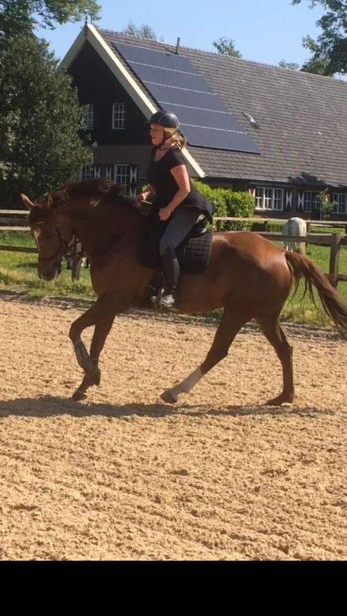 Erve Het Roolvink Boerderij Appartementen 40-50 M2 Enschede Zewnętrze zdjęcie