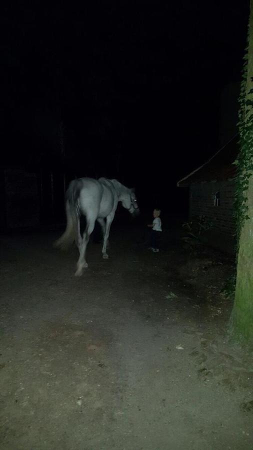 Erve Het Roolvink Boerderij Appartementen 40-50 M2 Enschede Zewnętrze zdjęcie