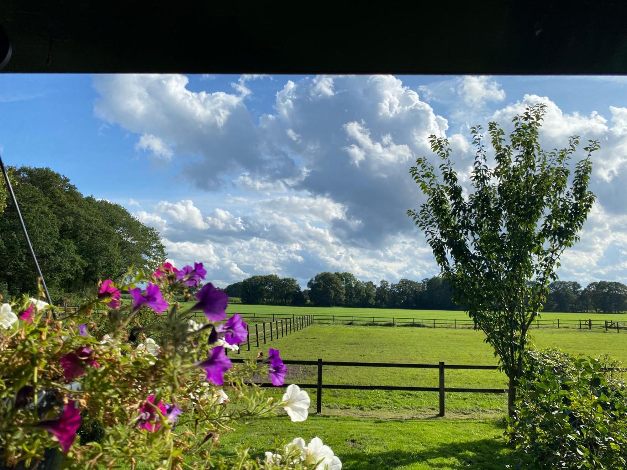 Erve Het Roolvink Boerderij Appartementen 40-50 M2 Enschede Zewnętrze zdjęcie